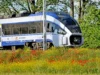 Einstellung des Zugverkehrs auf der Strecke Lębork – Słupsk Wstrzymanie ruchu pociągów na trasie Lębork - Słupsk