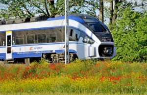 Einstellung des Zugverkehrs auf der Strecke Lębork – Słupsk Wstrzymanie ruchu pociągów na trasie Lębork - Słupsk